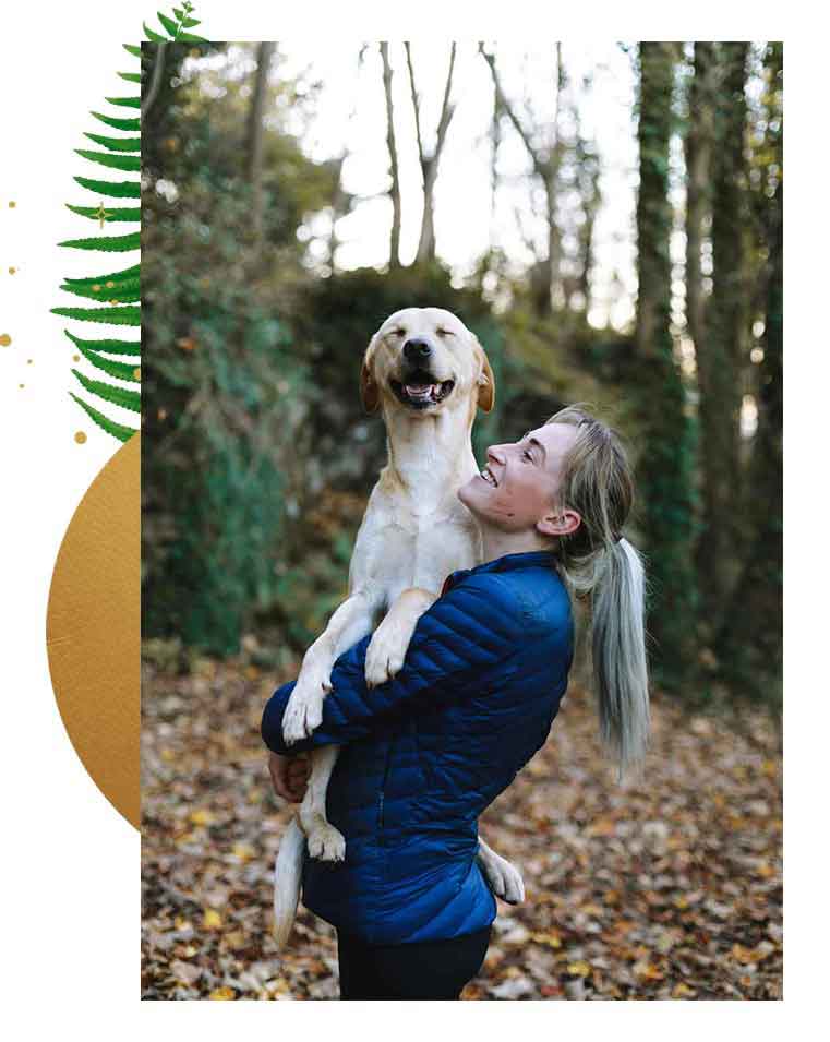 six-figure-pet-coaching-business-academy six figure pet coaching business academy