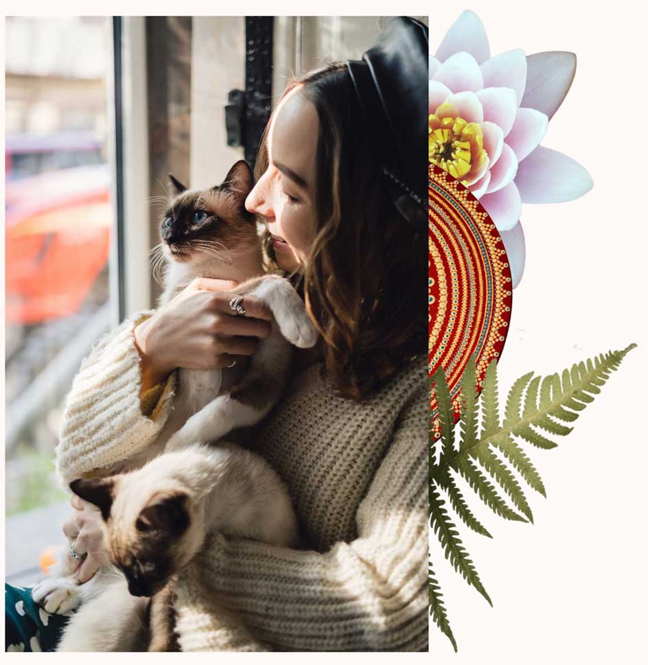 pet-sitter Pet Sitter